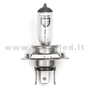 1 LAMPADA